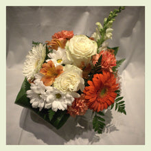 Charger l'image dans la galerie, DOROTHEE - CT8