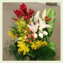 Charger l'image dans la galerie, AMARA -C3