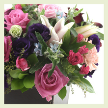 Charger l'image dans la galerie, CECILE -CT3