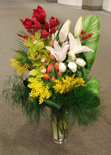 Charger l'image dans la galerie, AMARA -C3