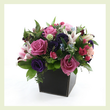 Charger l'image dans la galerie, CECILE -CT3